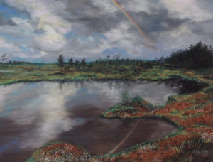 "Raba(v) vikerkaar" (kuivpastell, 2015)