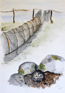 Tušš, akvarell (29,7x42, 2015)
