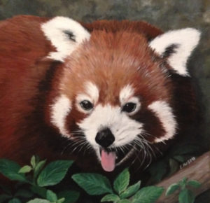 Õlimaal "Punapanda" (40x40, 2016)