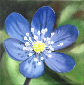Õlimaal (20x20, 2017)
