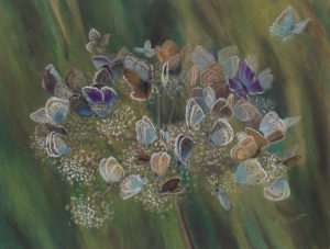 "Liblikate pidu" (kuivpastellid, 2015)
