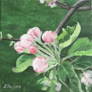 Õlimaal (20x20, 2017)