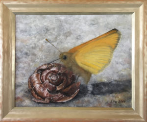 õlimaal "Harilik viirgpunnpea" (37x31 koos raamiga, 2017)